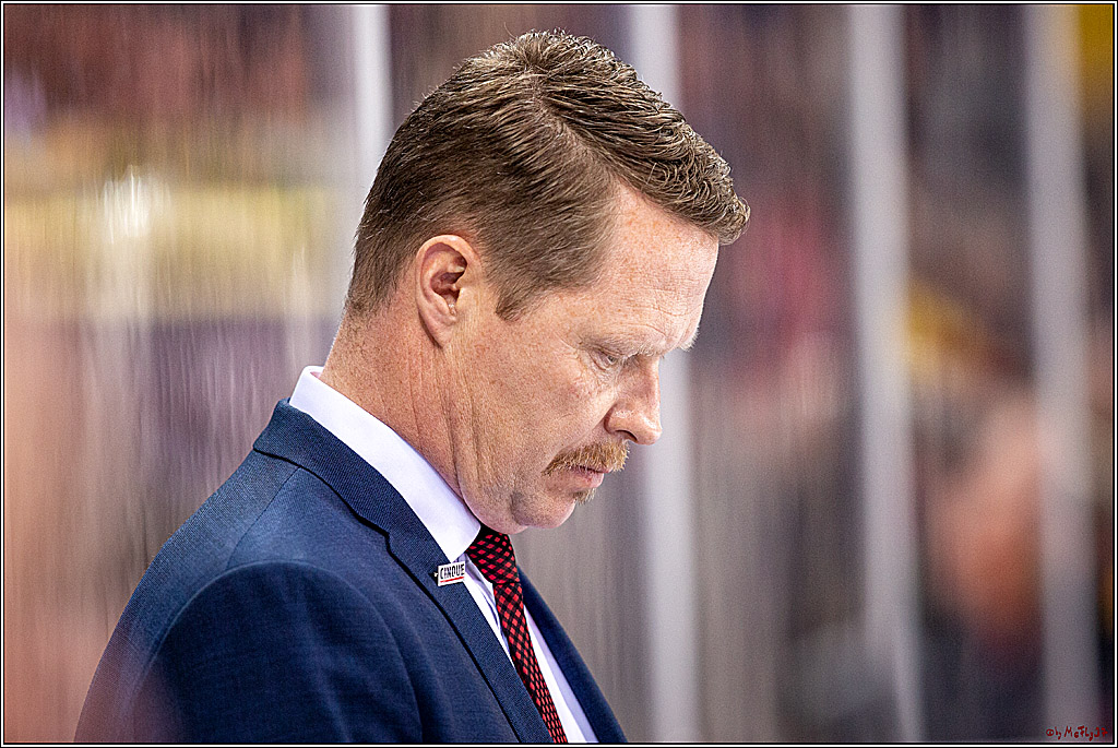 DEL; Duesseldorfer EG - Koelner Haie; Duesseldorf, 29.11.2019